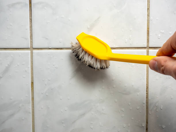 Best Emergency Mold Remediation in Negaunee, MI