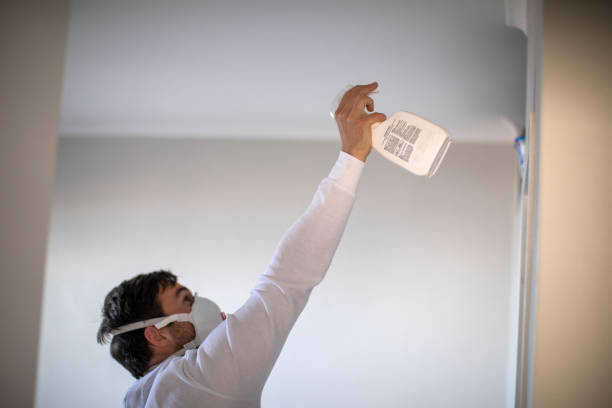 Best Kitchen Mold Remediation in Negaunee, MI