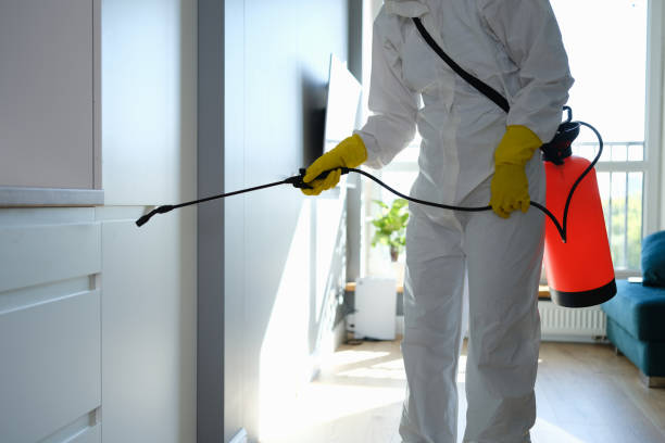 Best Commercial Mold Remediation in Negaunee, MI